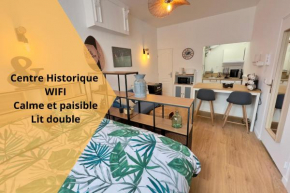 L’Albizia- Centre -TV WIFI-Cozy